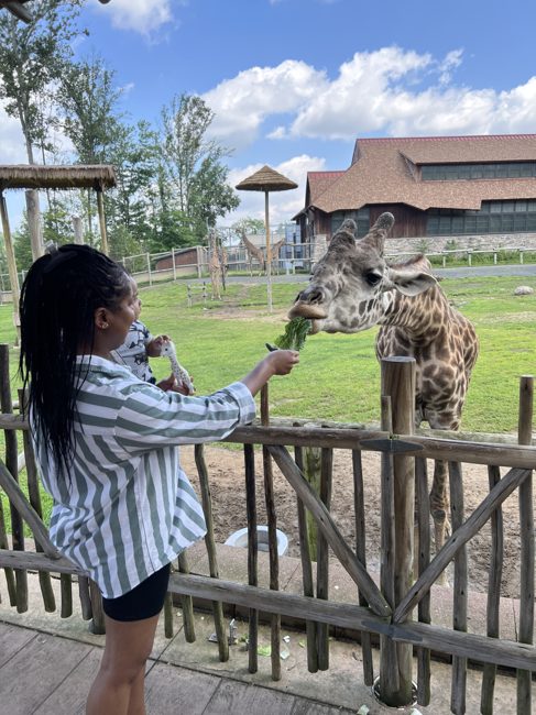 A mom feeding a giraffe greens over a wooden fence at a safari park